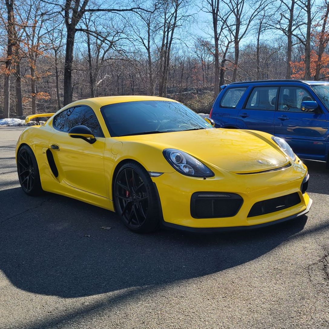 Profile of Daniel Toth