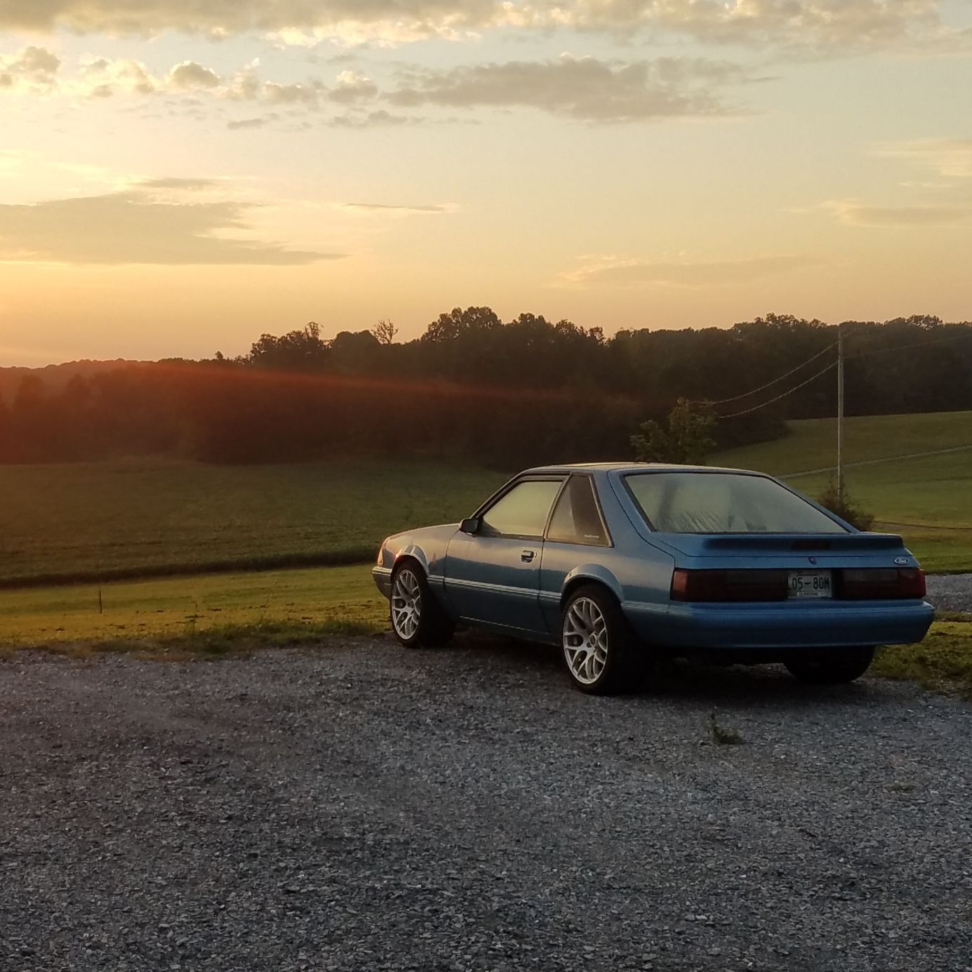 Profile of Marquis Merritt