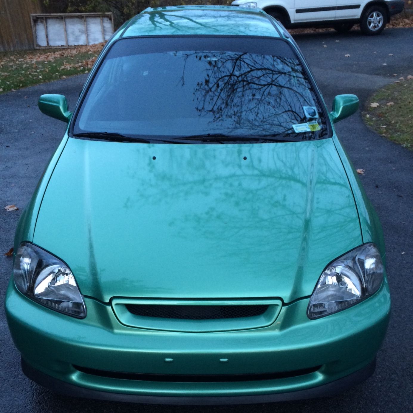 Profile of Riley Gannon