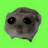 Profile of Chase Grissom