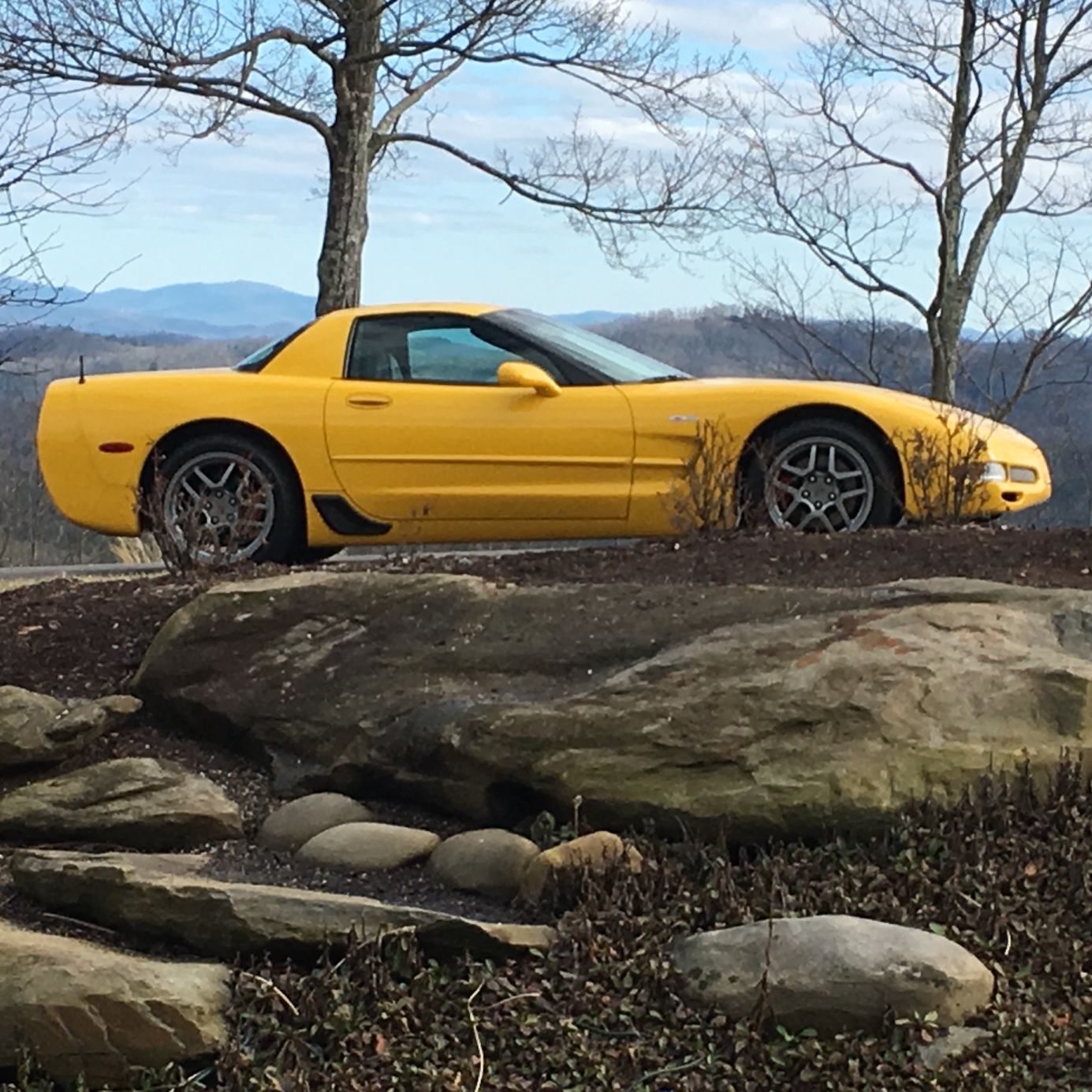 Profile of Steve Adams