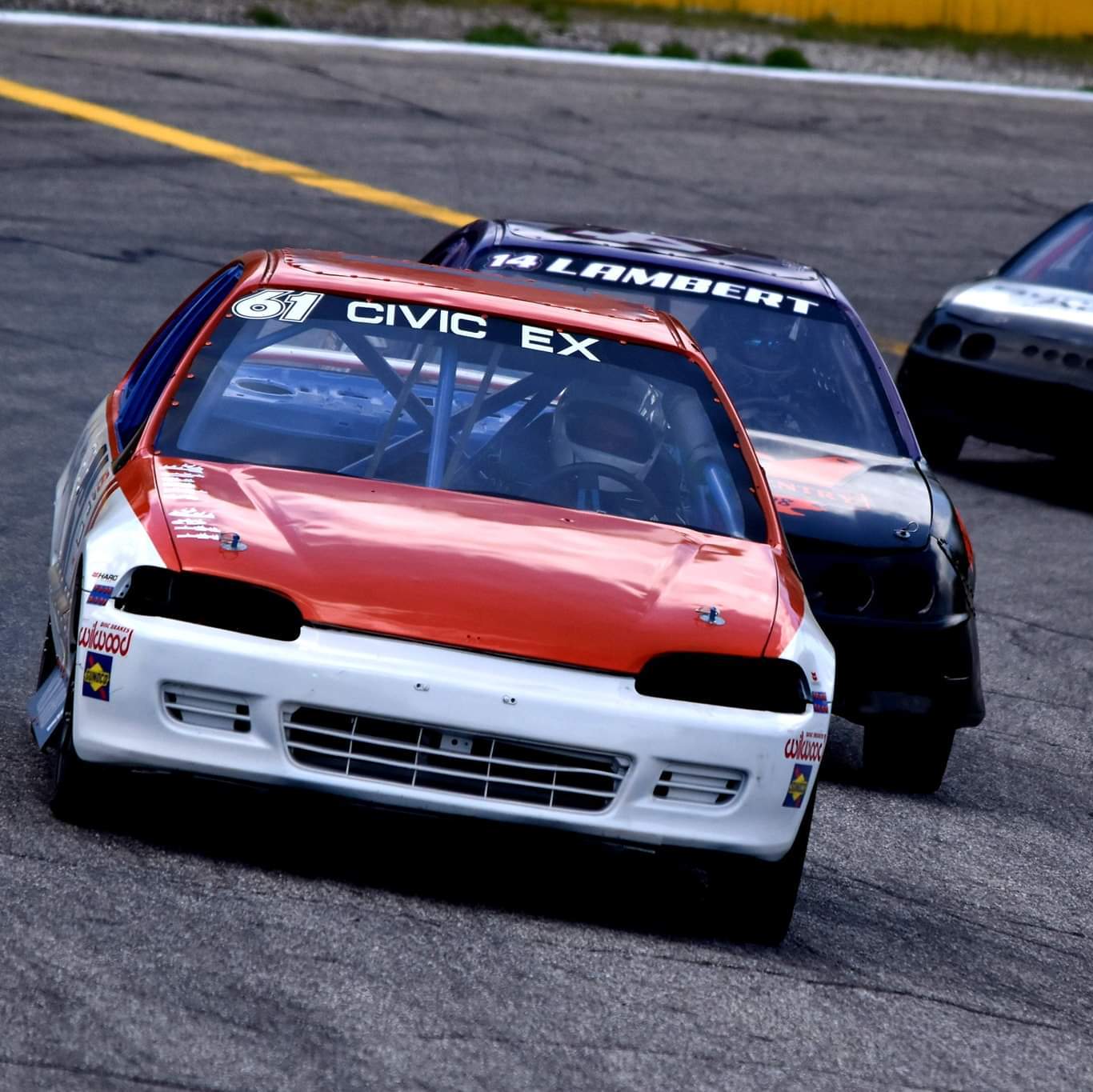 Profile of Steve Fucile