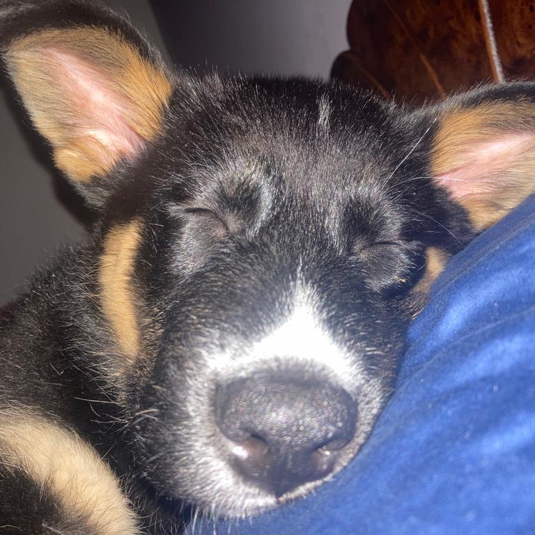 Profile of Michael Wilhelm