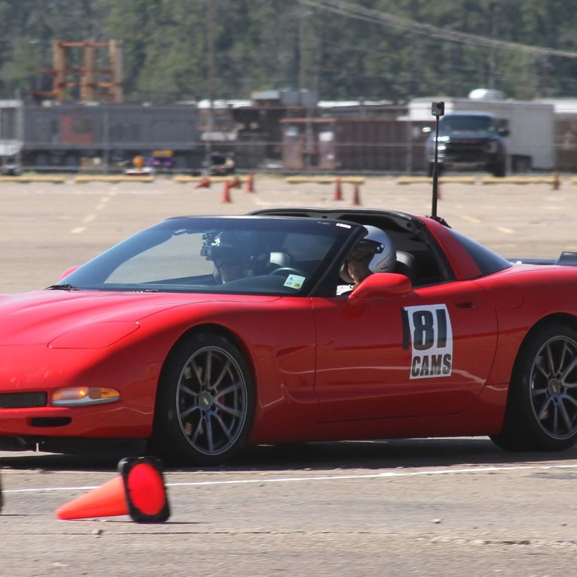 Profile of Brigitte Kelso