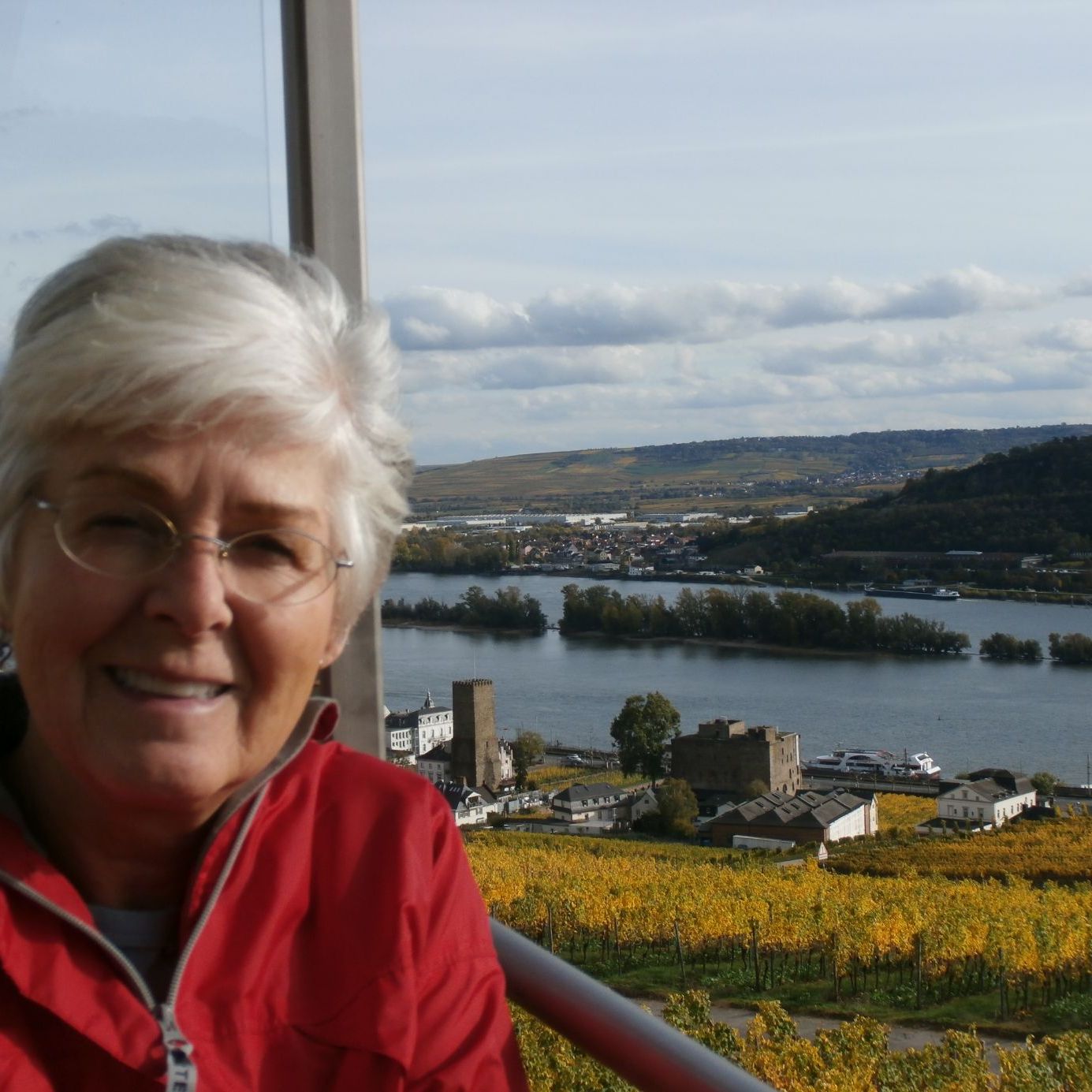 Profile of Diane Critchley