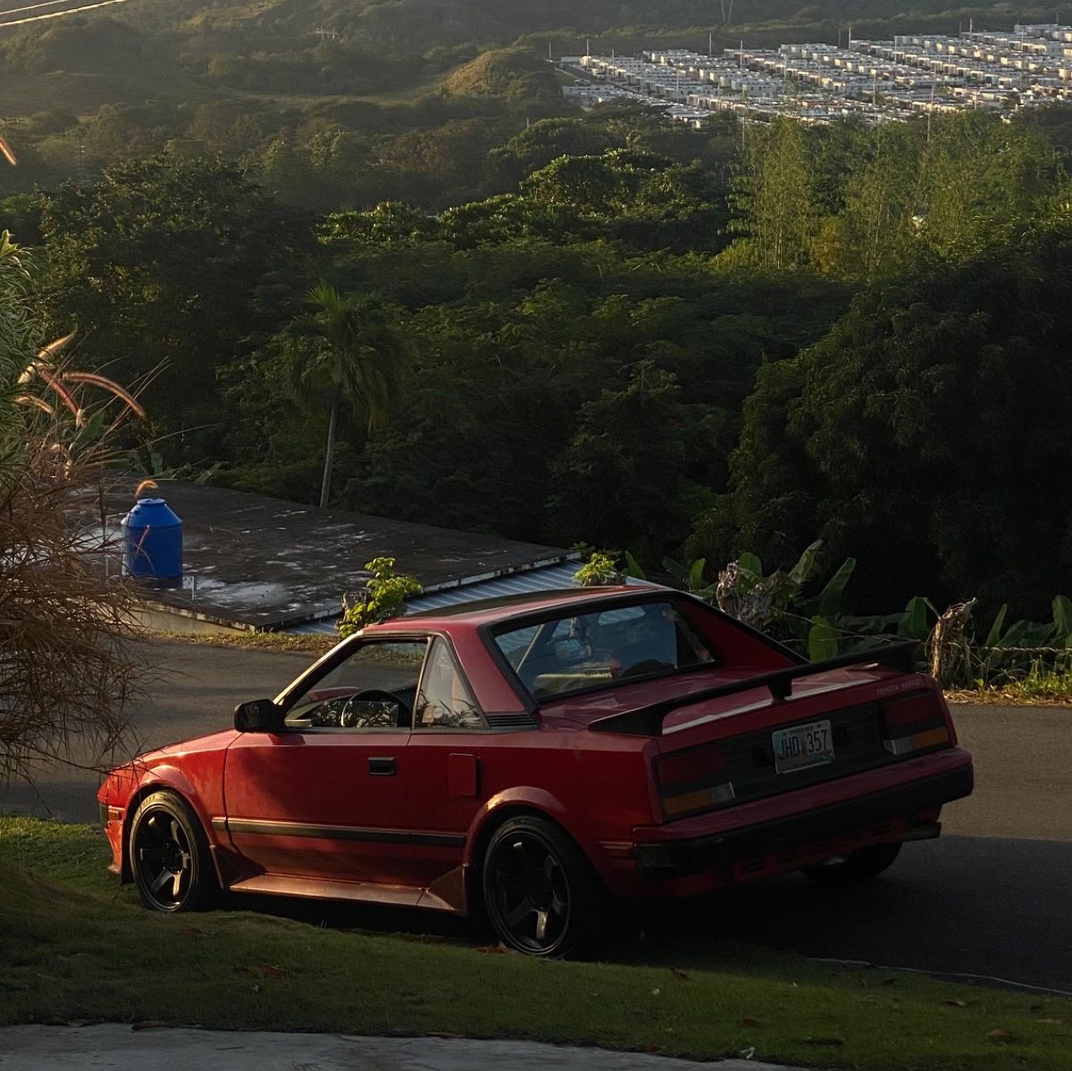 Profile of Jan Berrocal