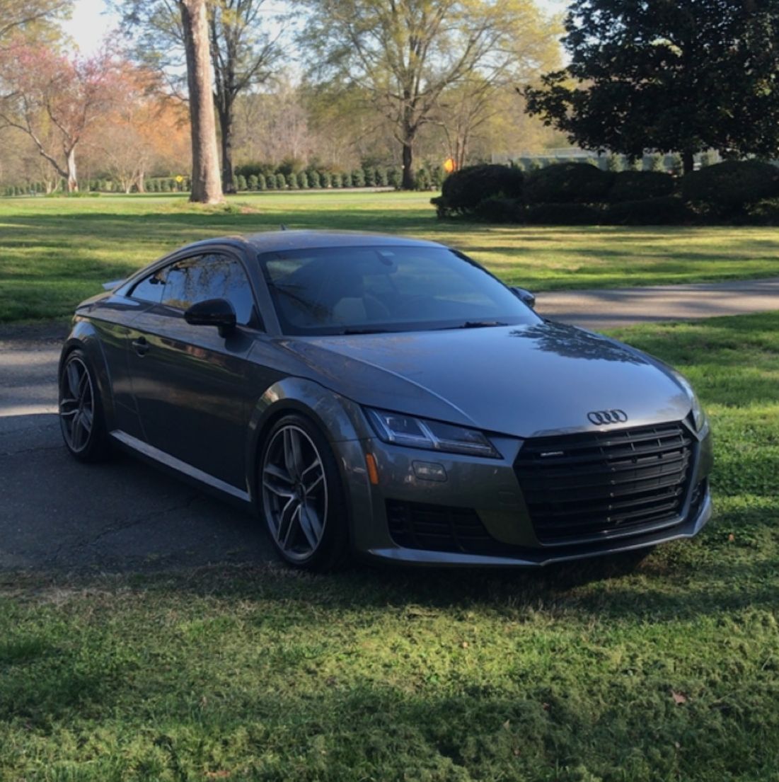 Profile of Cameron Smith