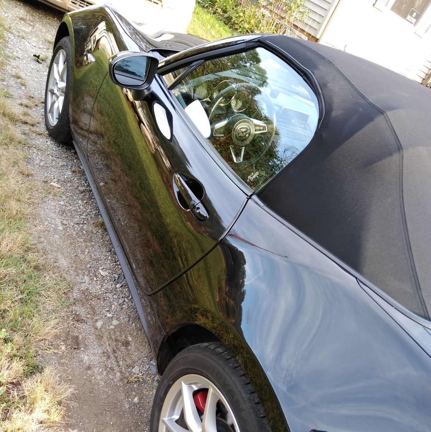 Profile of Joshua Wood