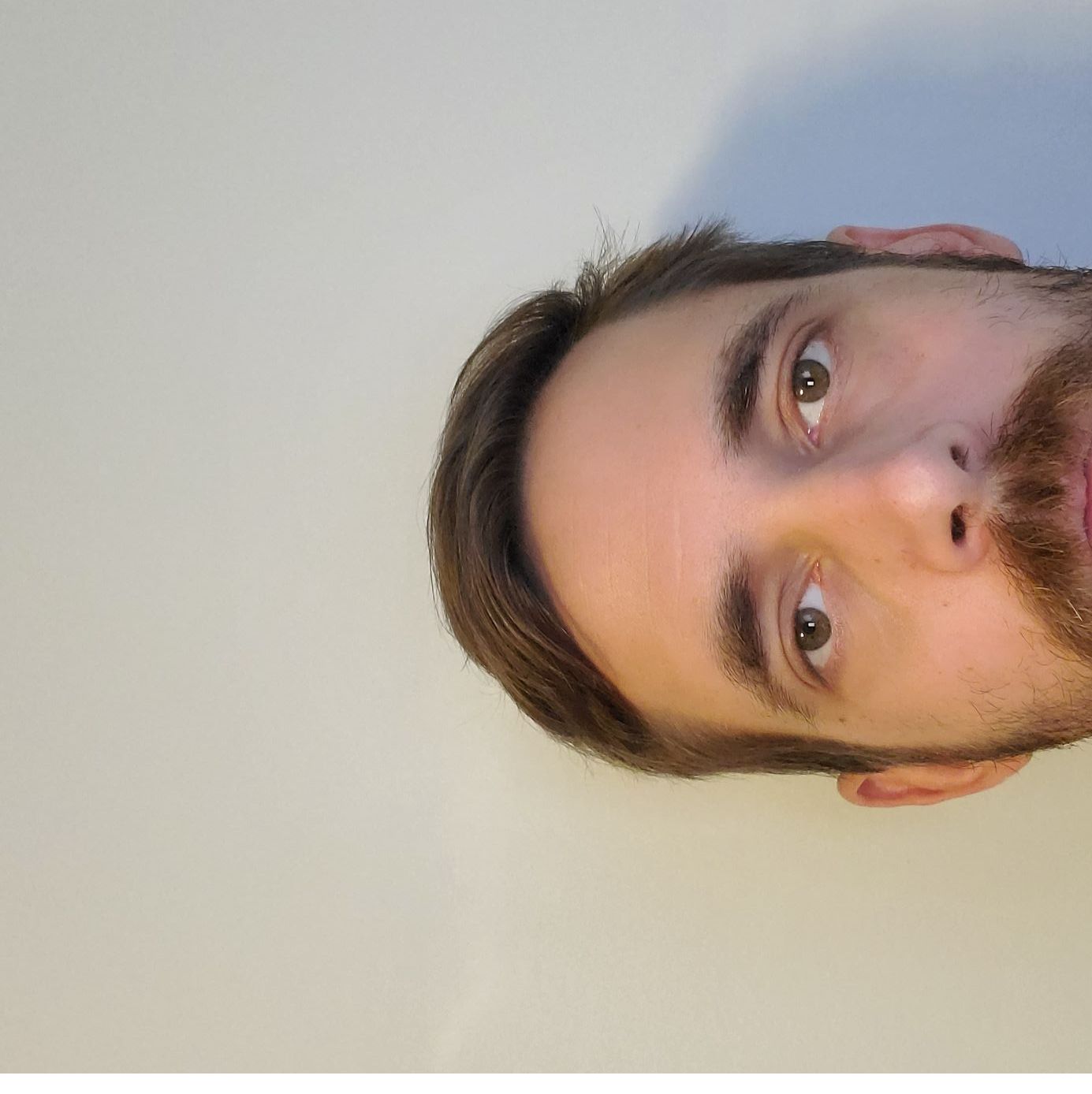 Profile of Robert Wendt-Hansen