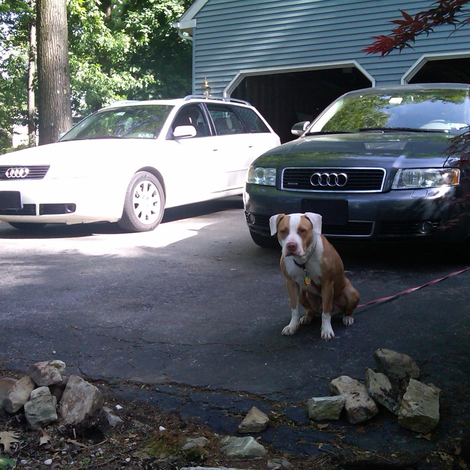 Profile of Jody Lyon