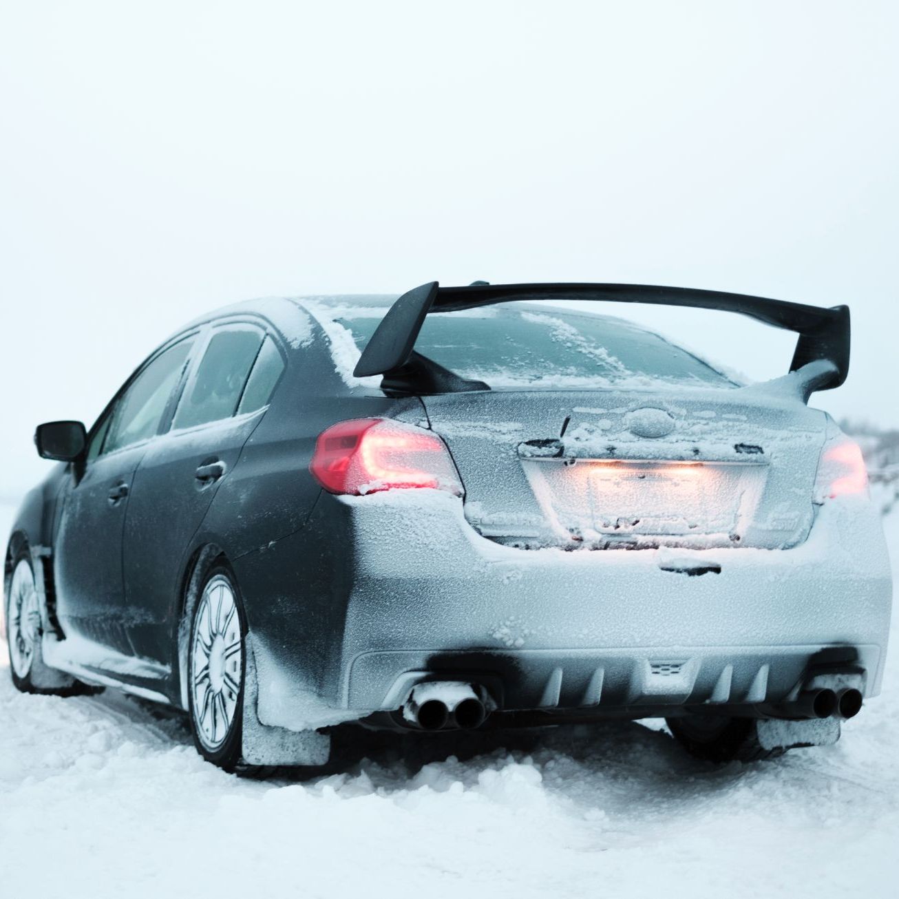 Profile of Brian Yip