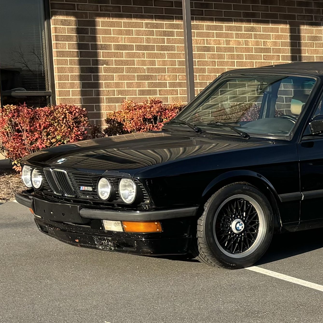 Profile of Paul Morgan