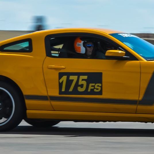 Profile of Andrea Mai