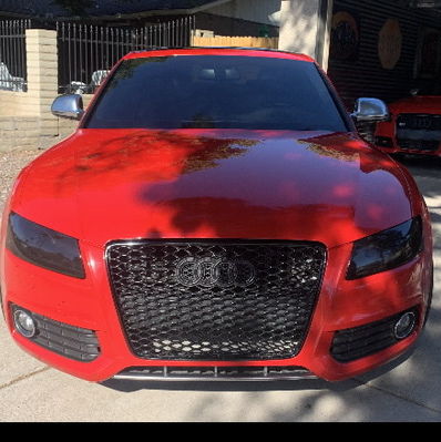 Profile of Raquel Sage