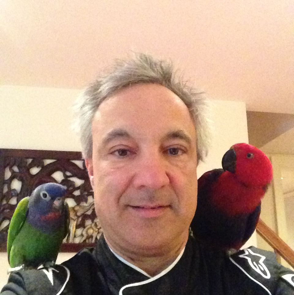 Profile of Peter.  A Lombardo