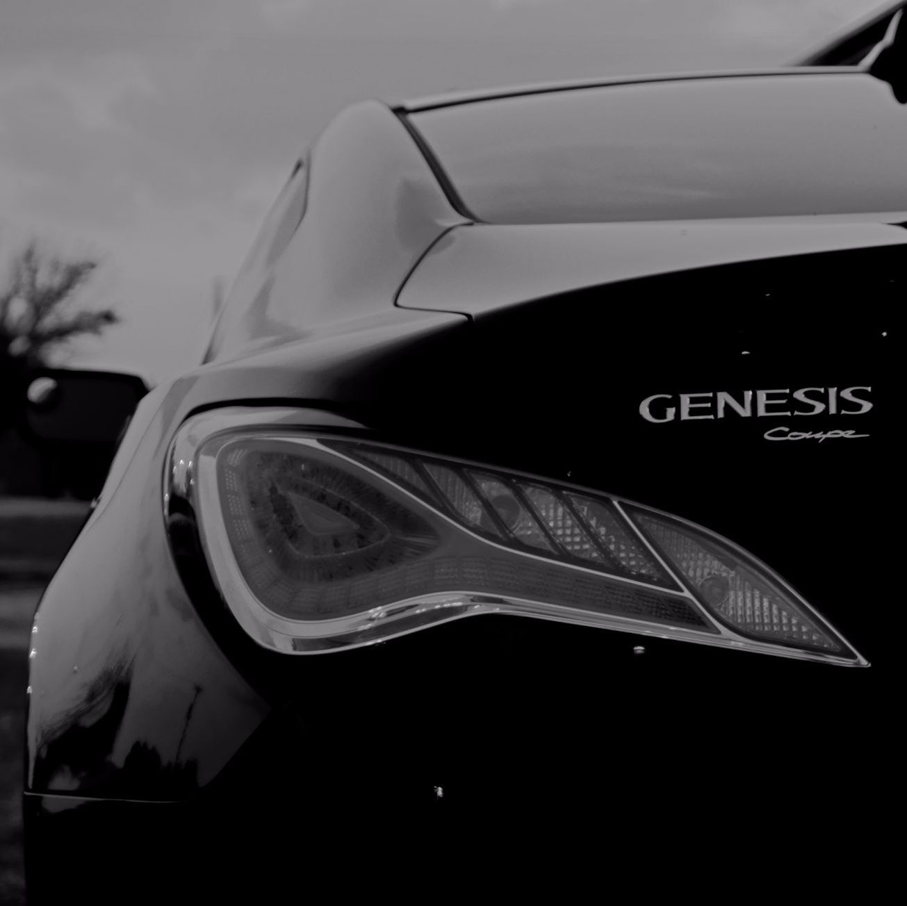 Profile of Terry Condren