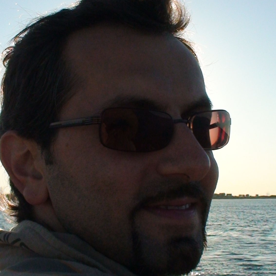 Profile of Mihai Mocean