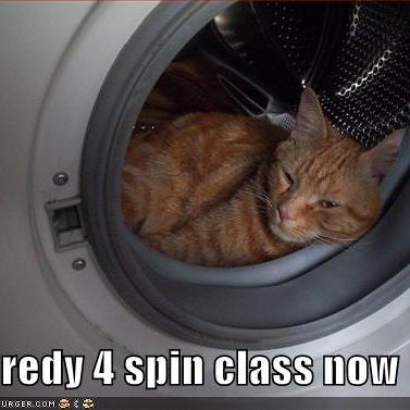 Profile of Travis Tiegs