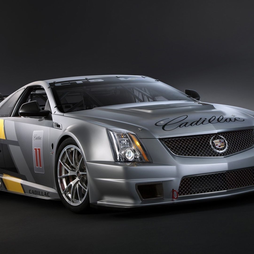 Profile of Dariush Lotfi