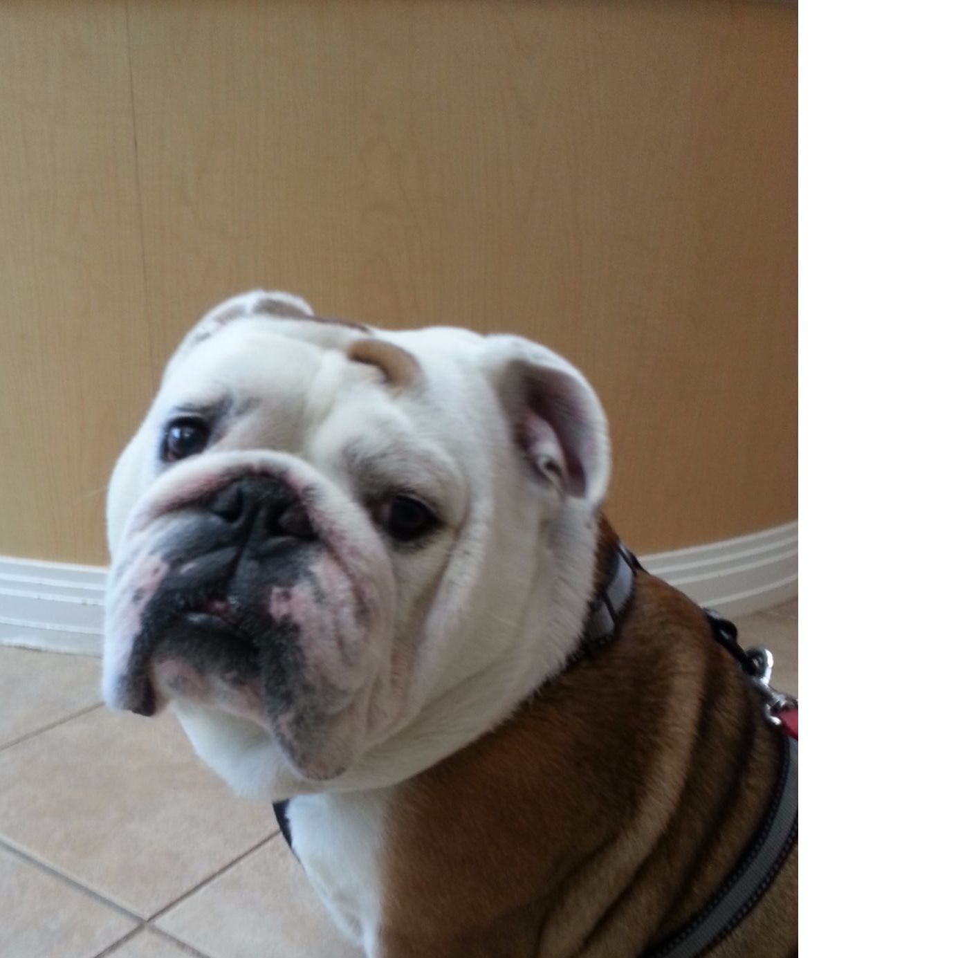 Profile of Dave Curry