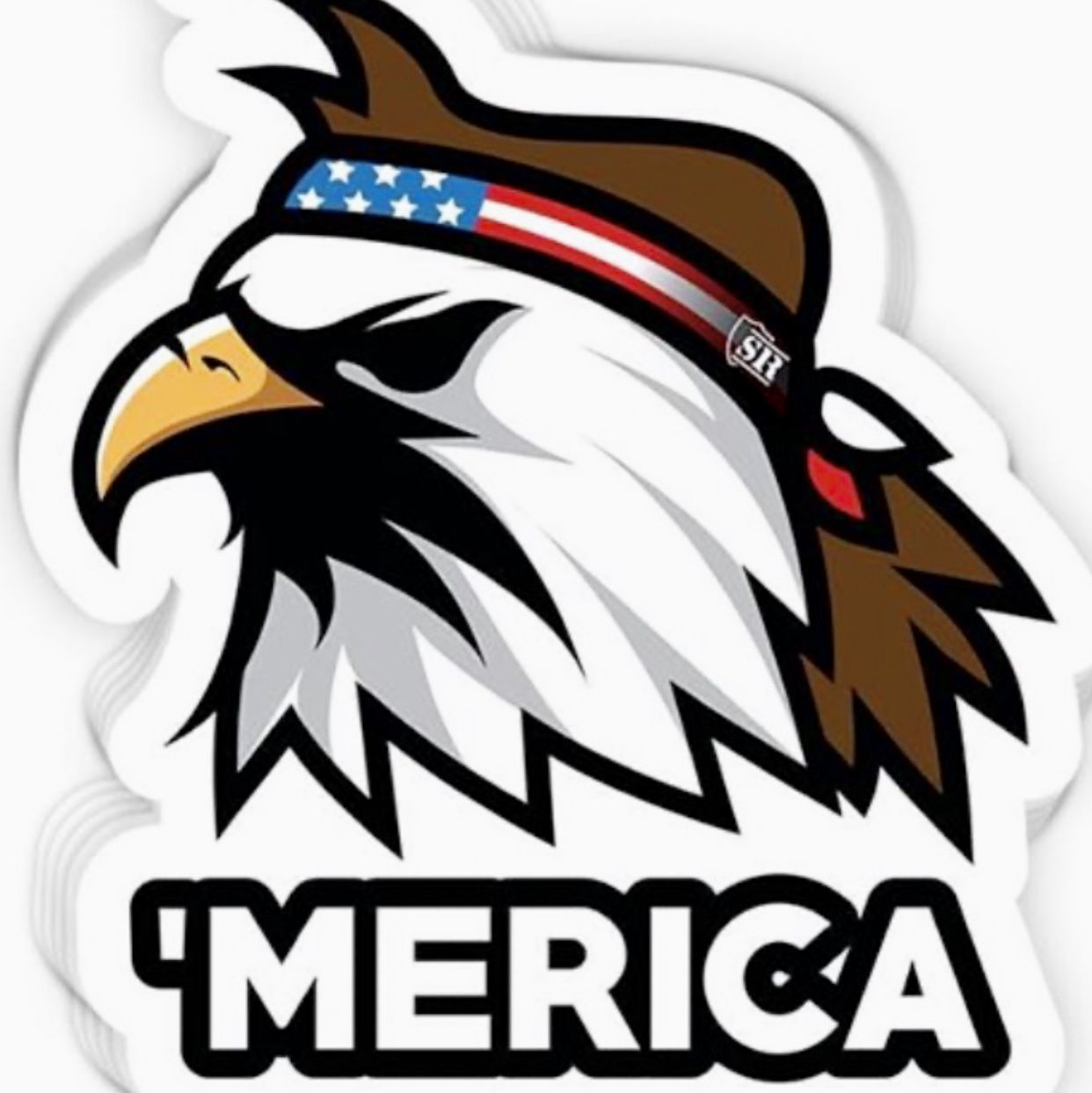 Profile of Douglas Trotter