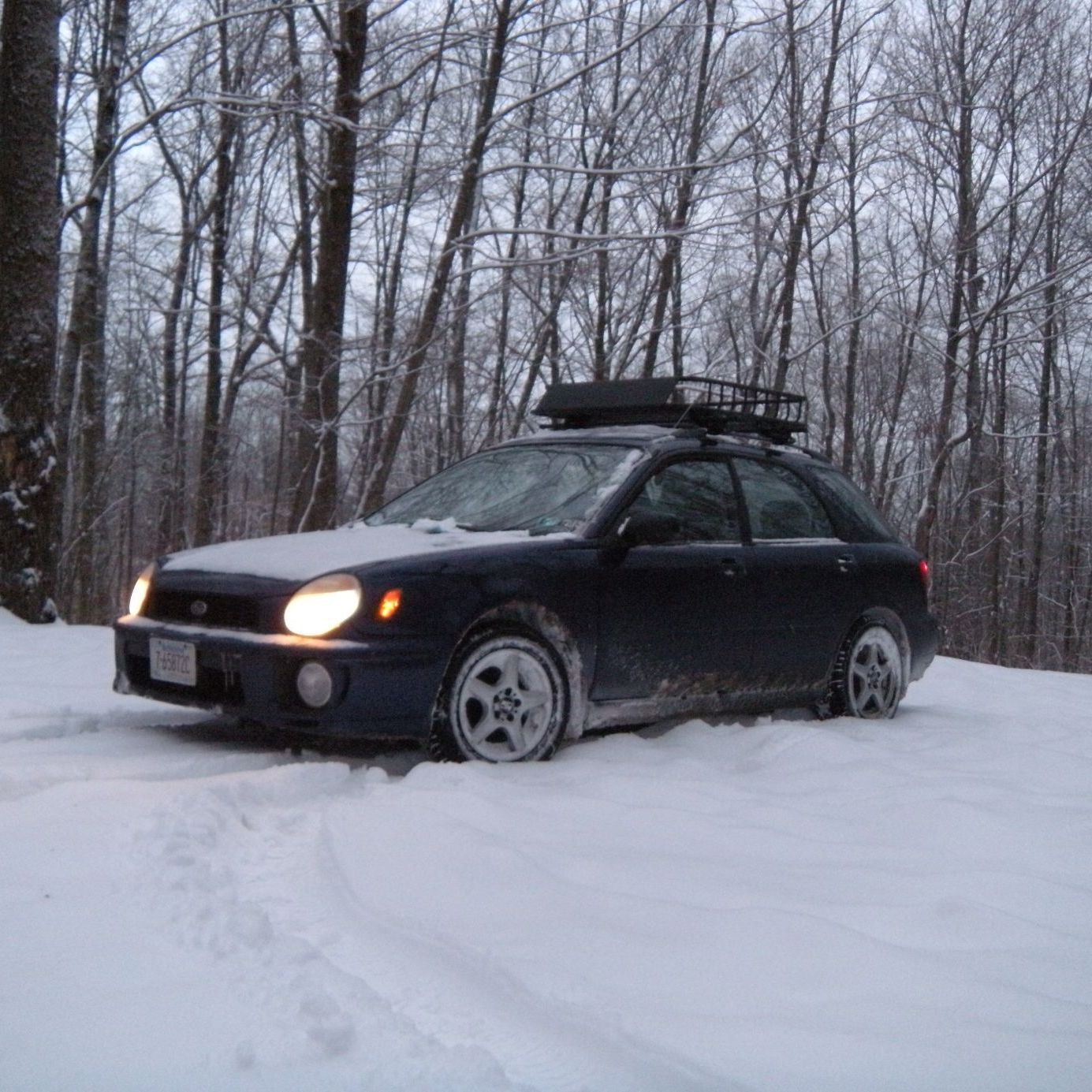 Profile of Paul Dennis