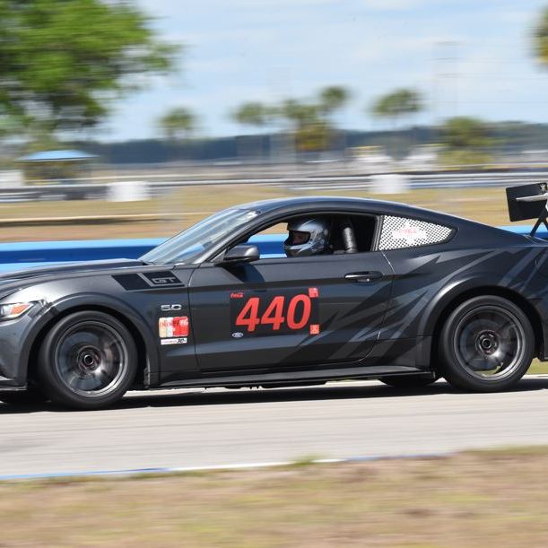 Profile of Mark Hill