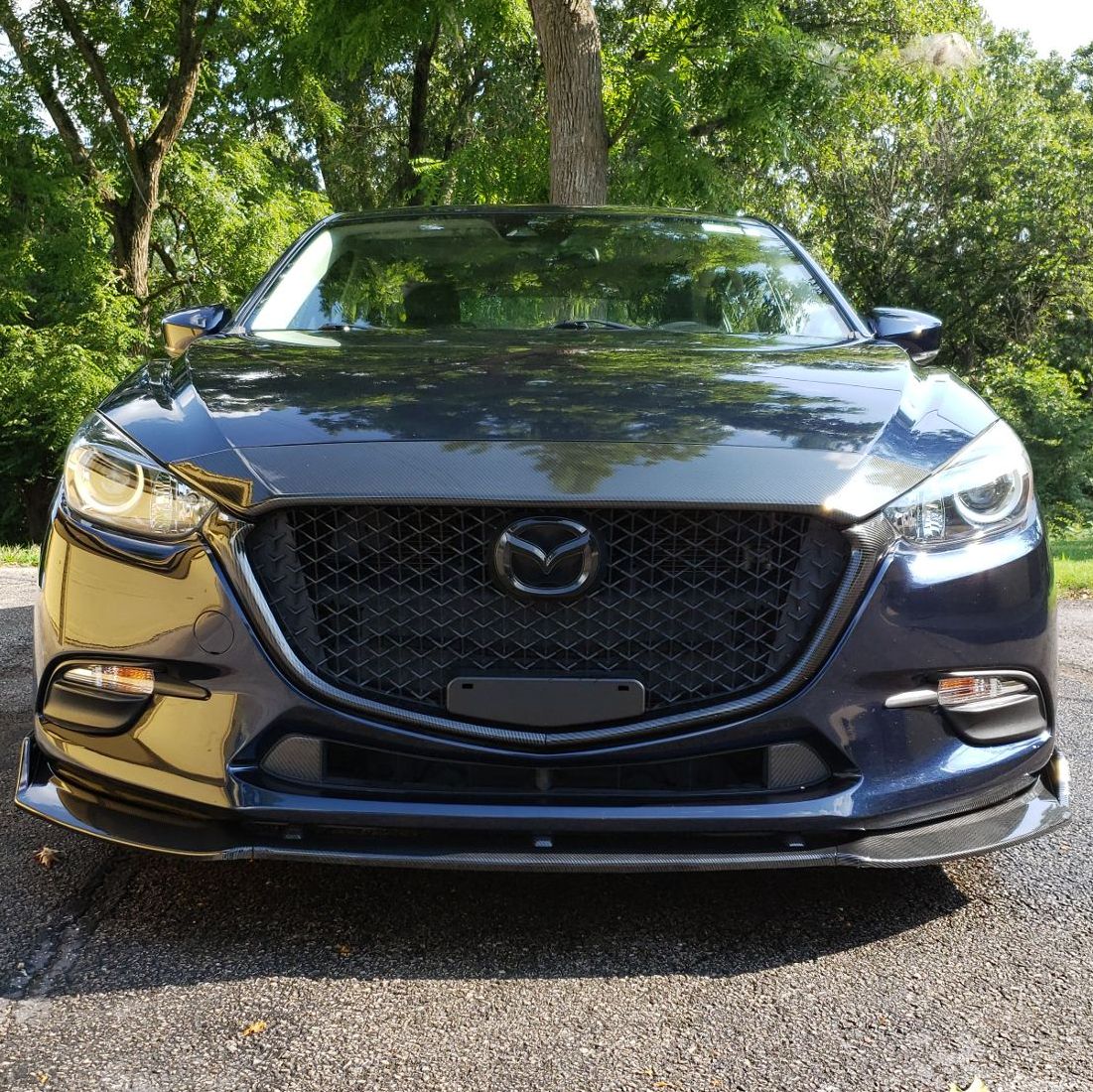 Profile of TJ Forehand