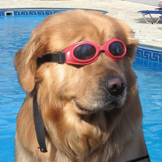 Profile of Juan Lagunas