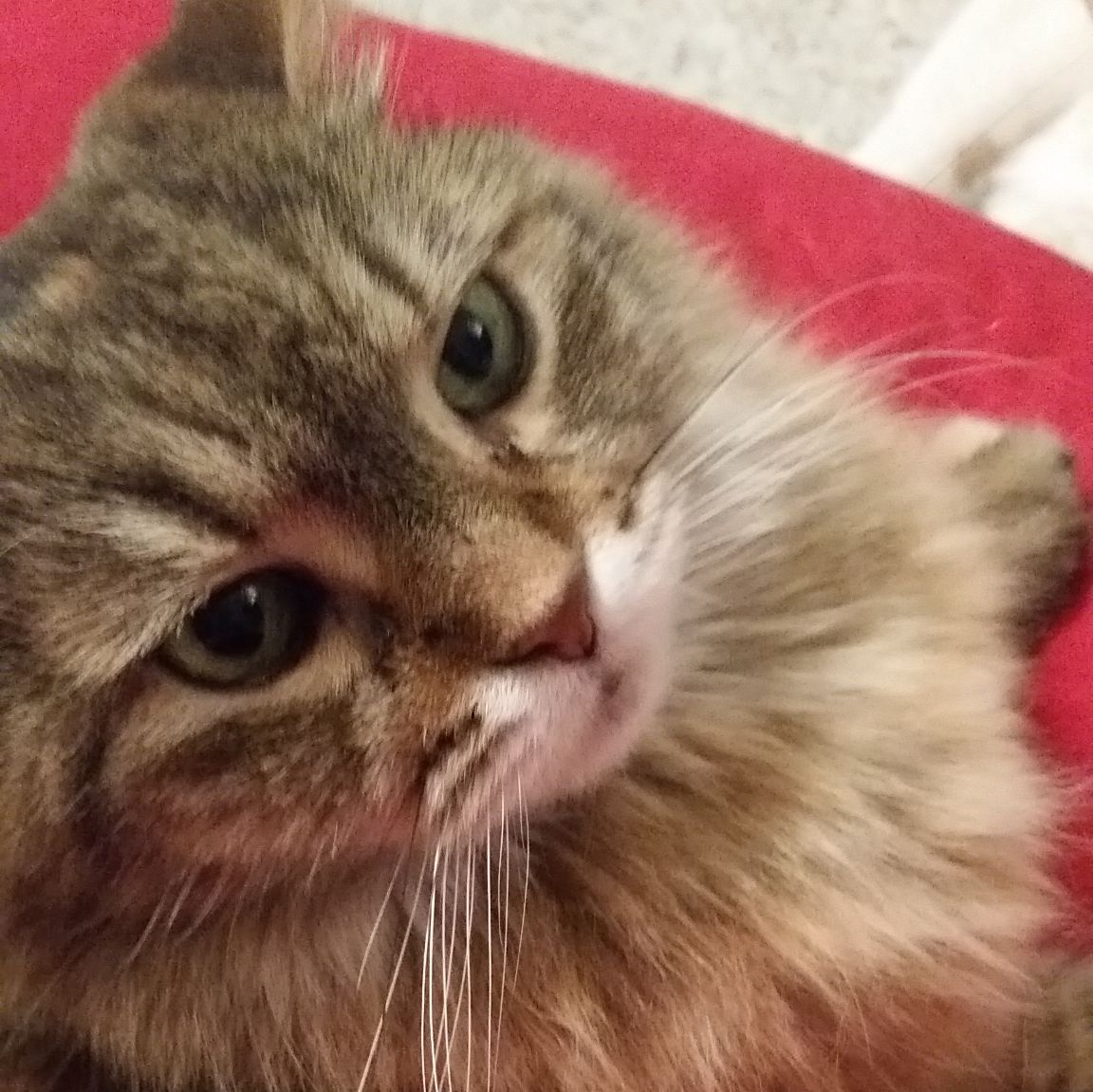 Profile of Jenny Anderson