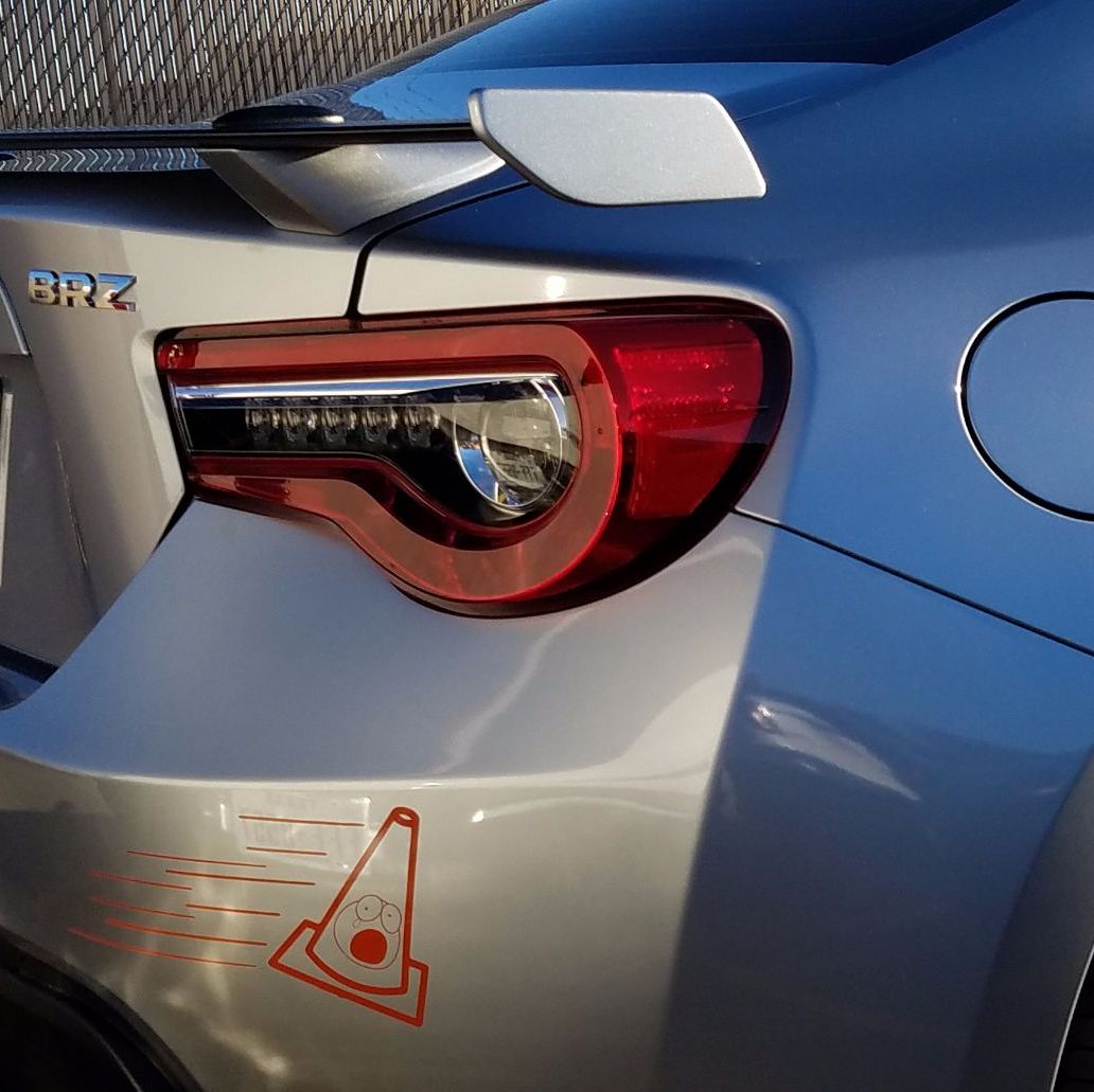 Profile of Rick Levitz