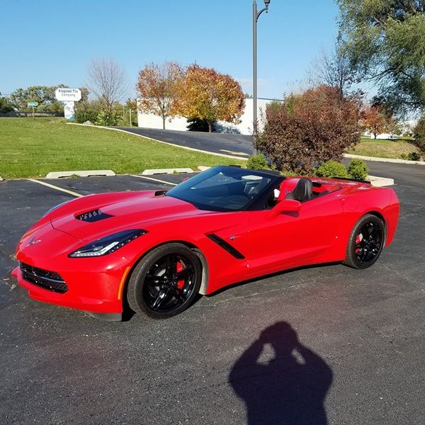 Profile of Terry Nelson