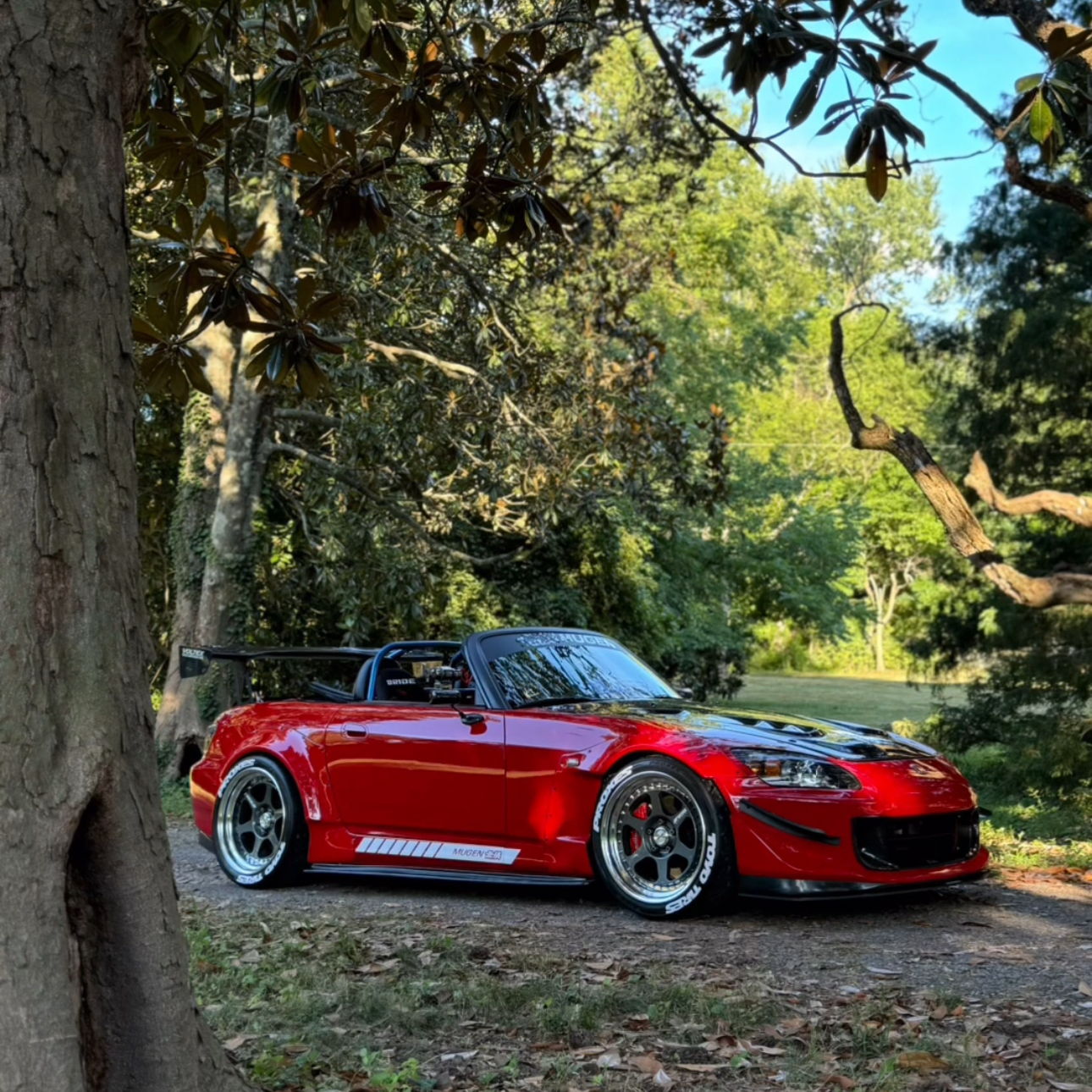 Profile of Carlos Matos