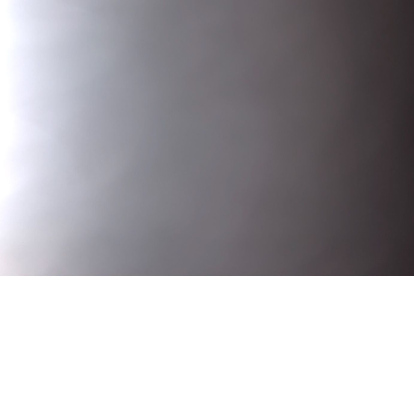 Profile of Sandy Fernandez