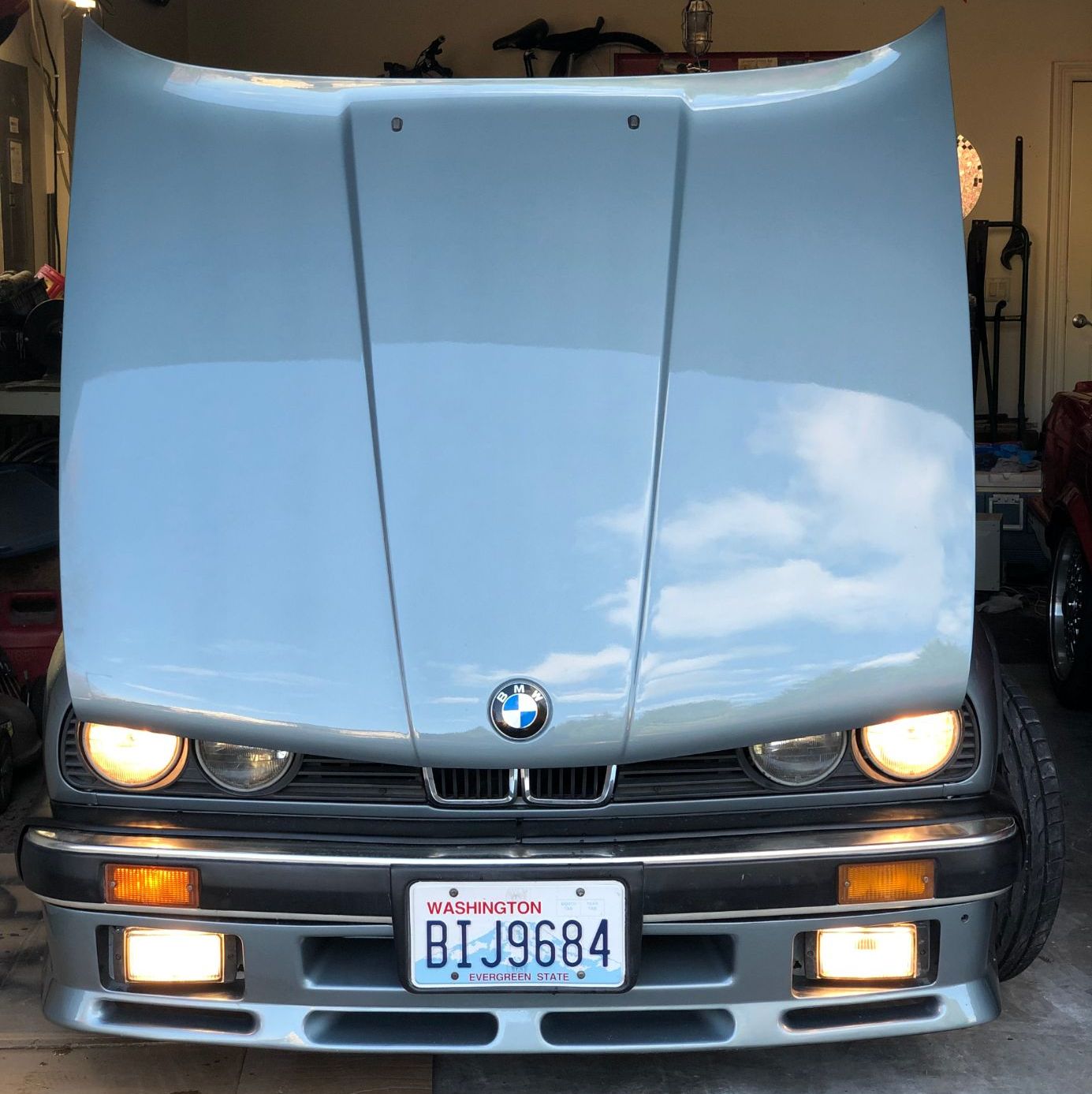 Profile of Steve Silves