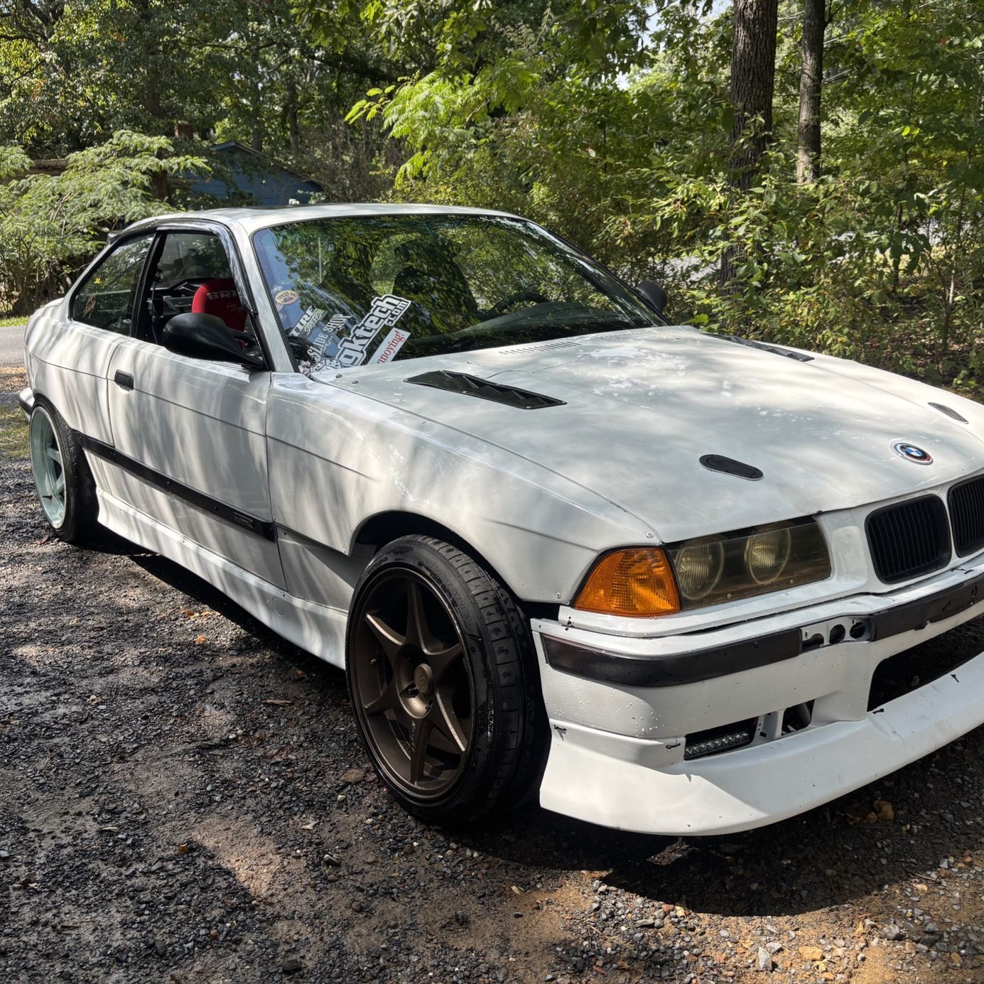 Profile of William Belt