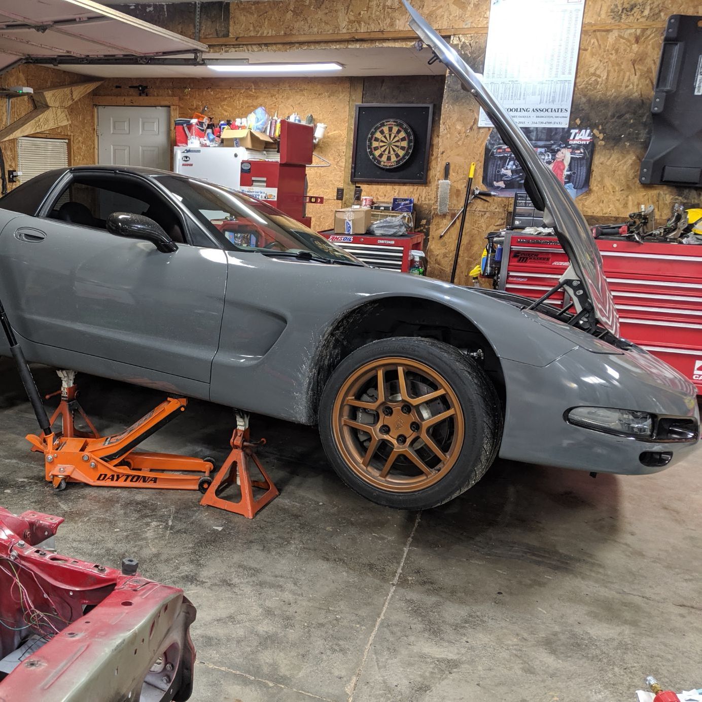 Profile of Kyle Cook