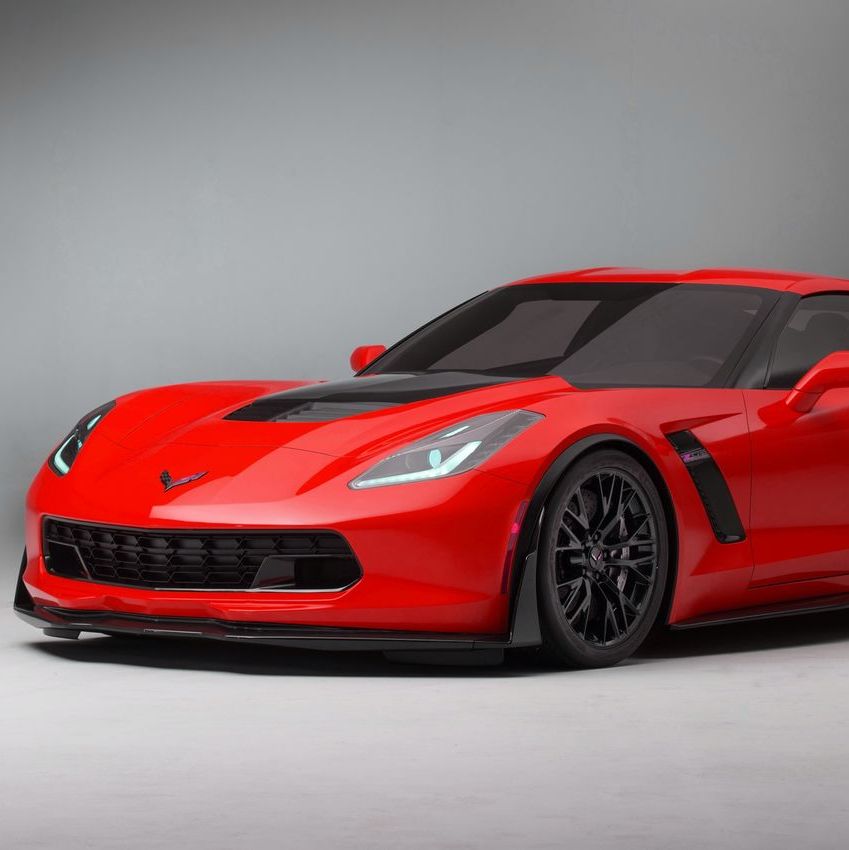 Profile of Mark Gogots