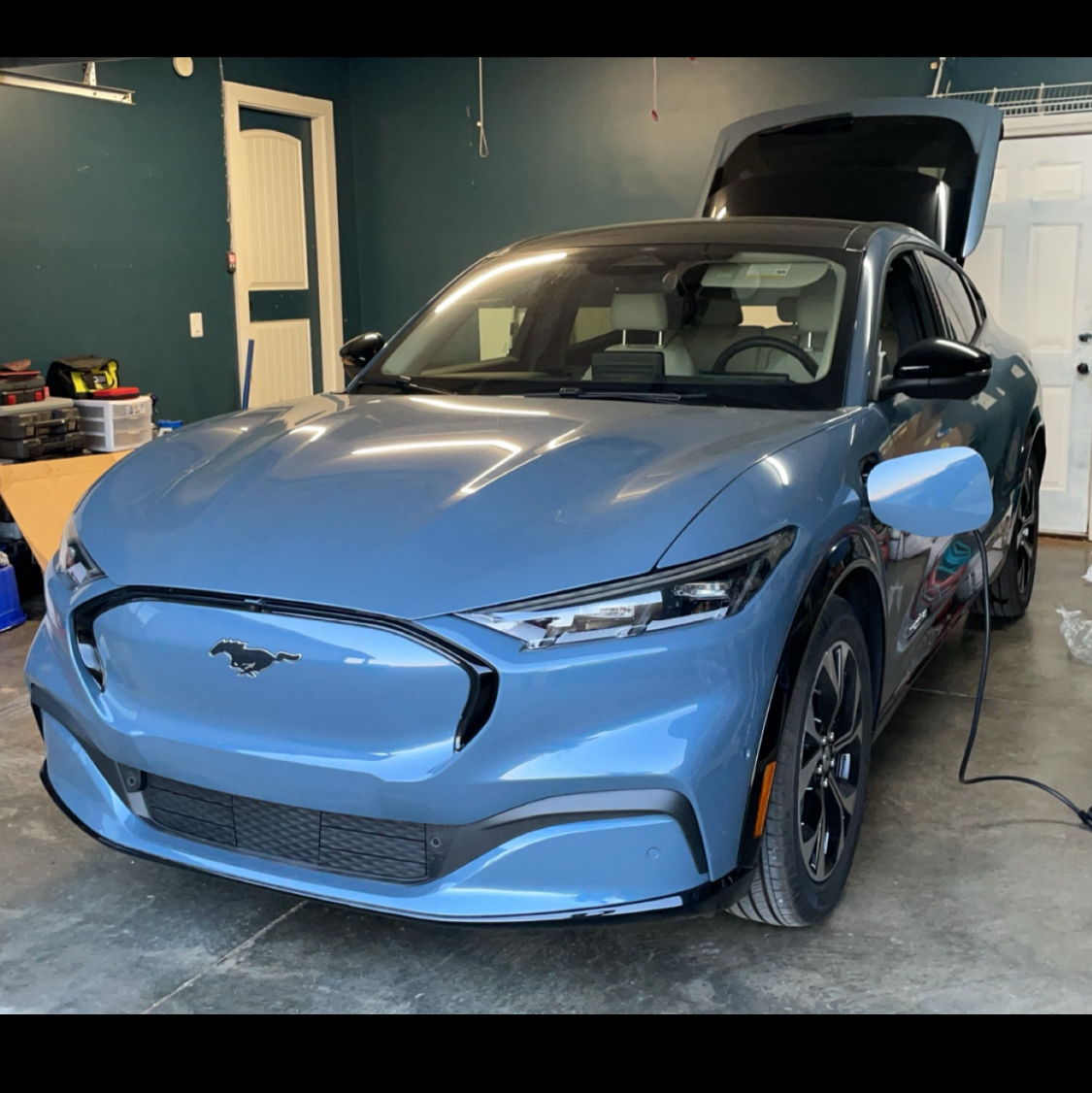 Profile of Hayley Holly