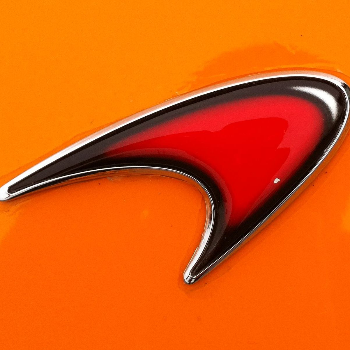 Profile of Joseph Nycz