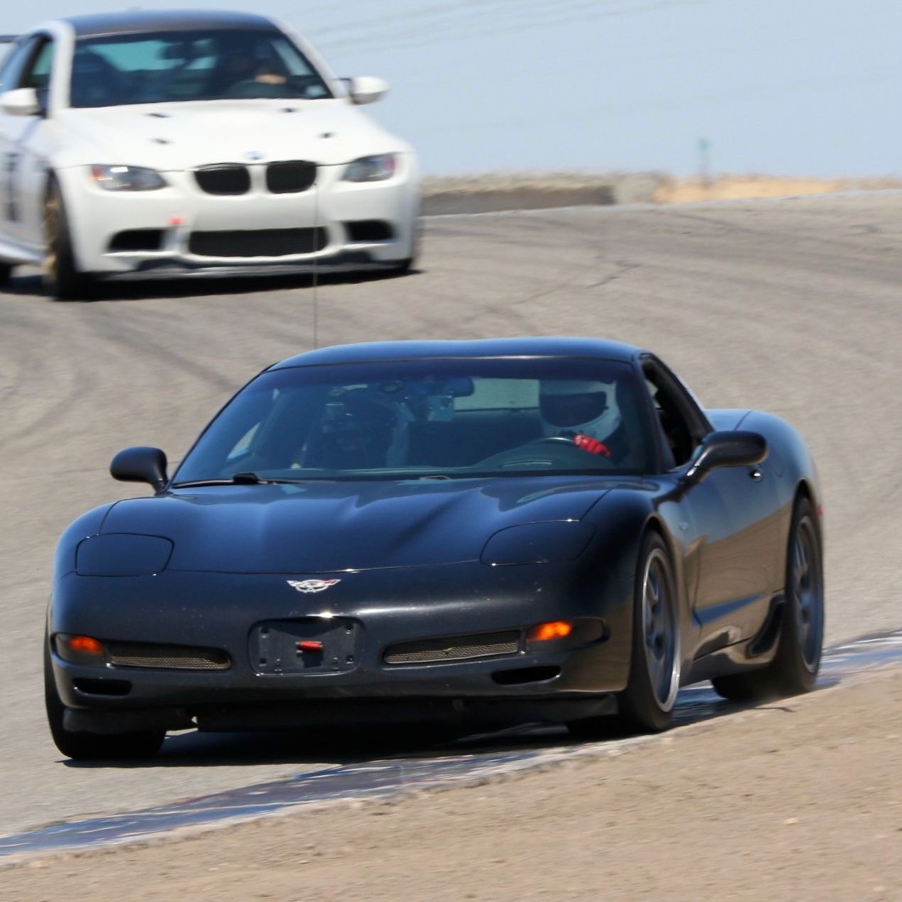 Profile of Cesar Gillen