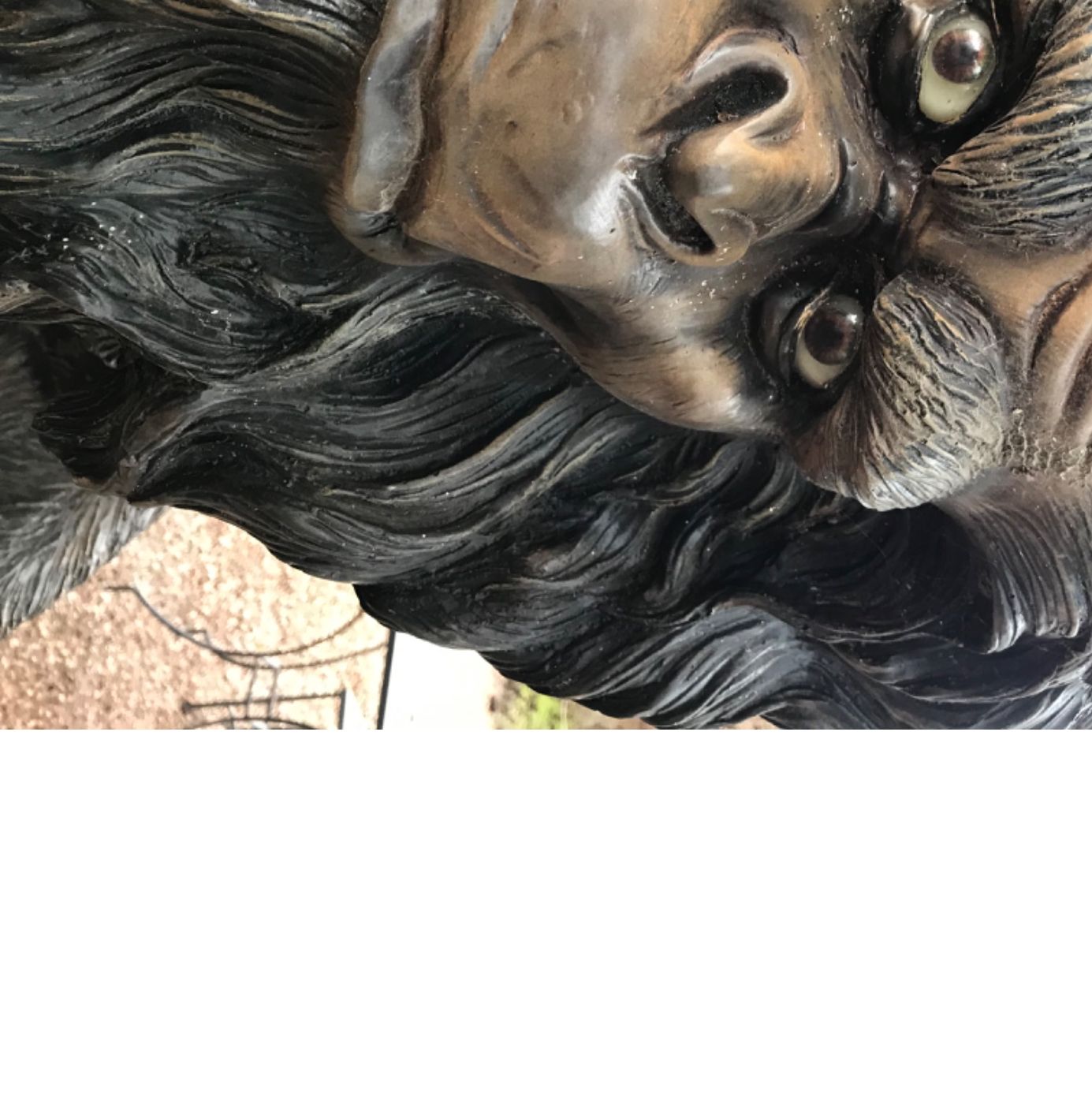 Profile of Darrel Baumer