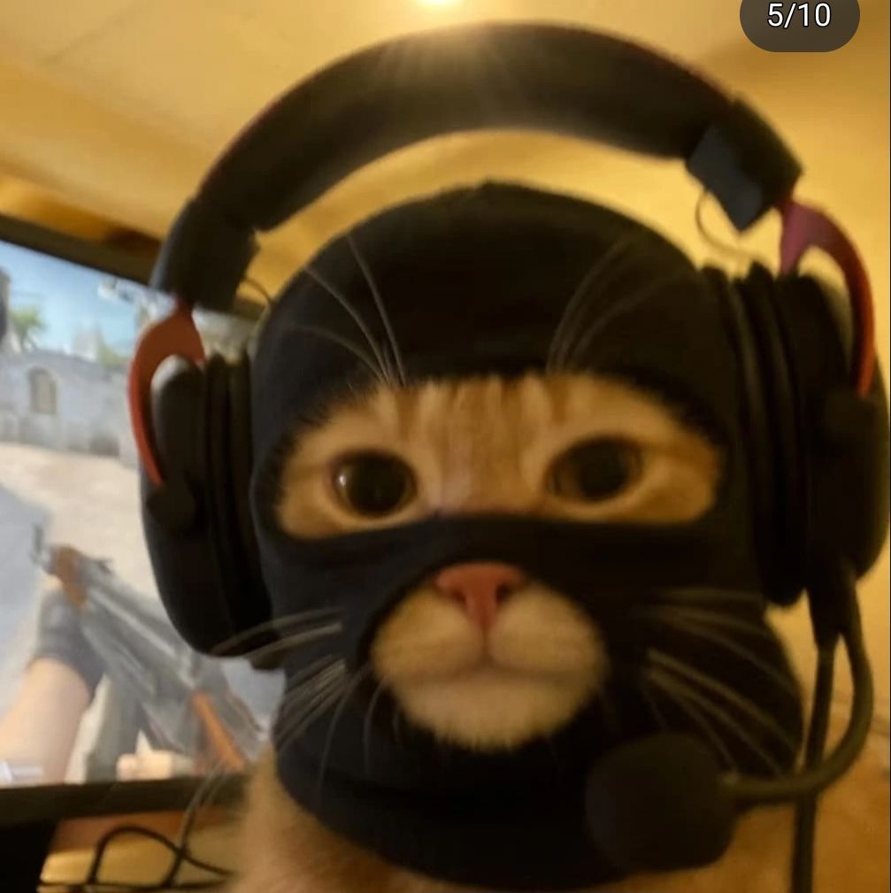 Profile of David Doorley