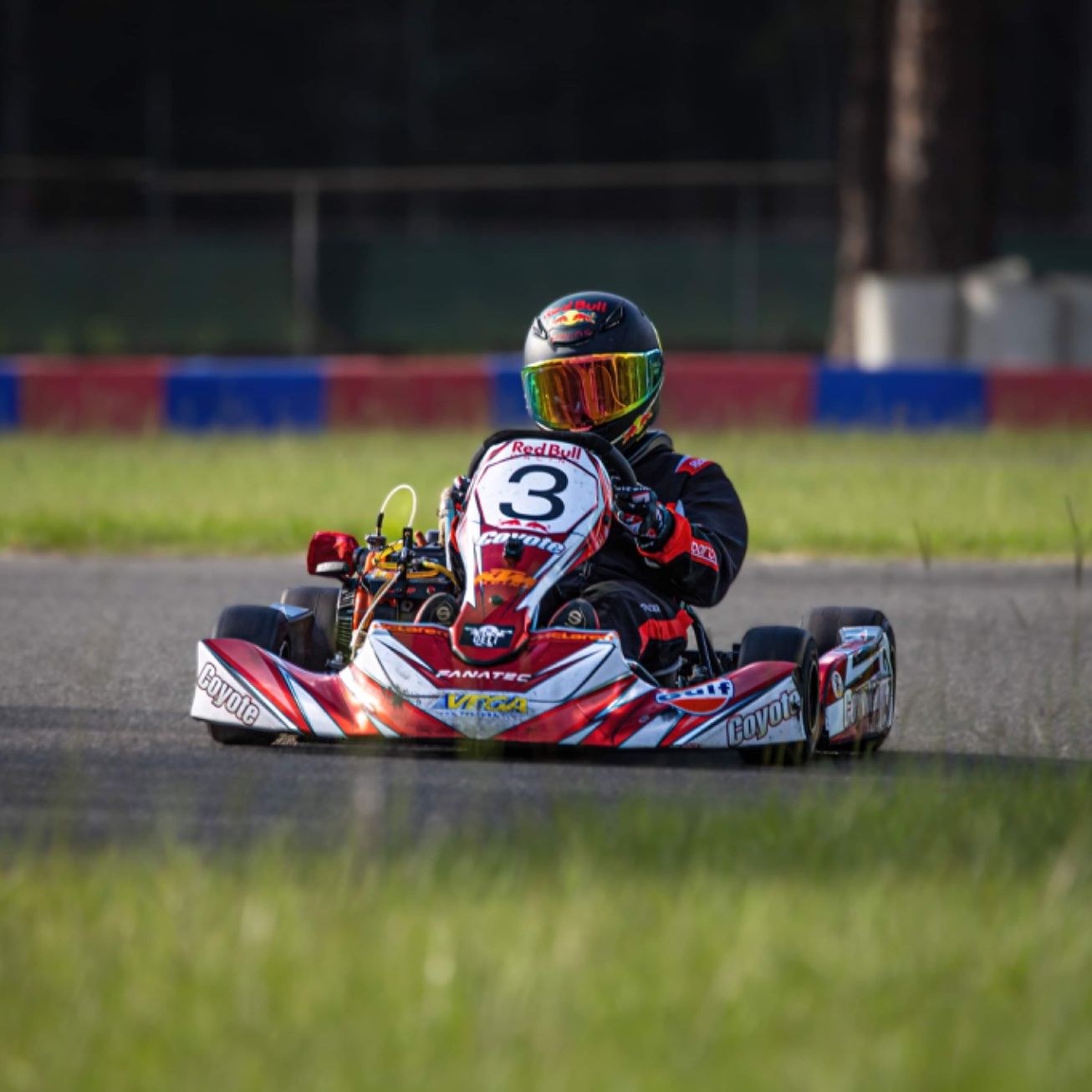 Profile of Shawn Chiarello