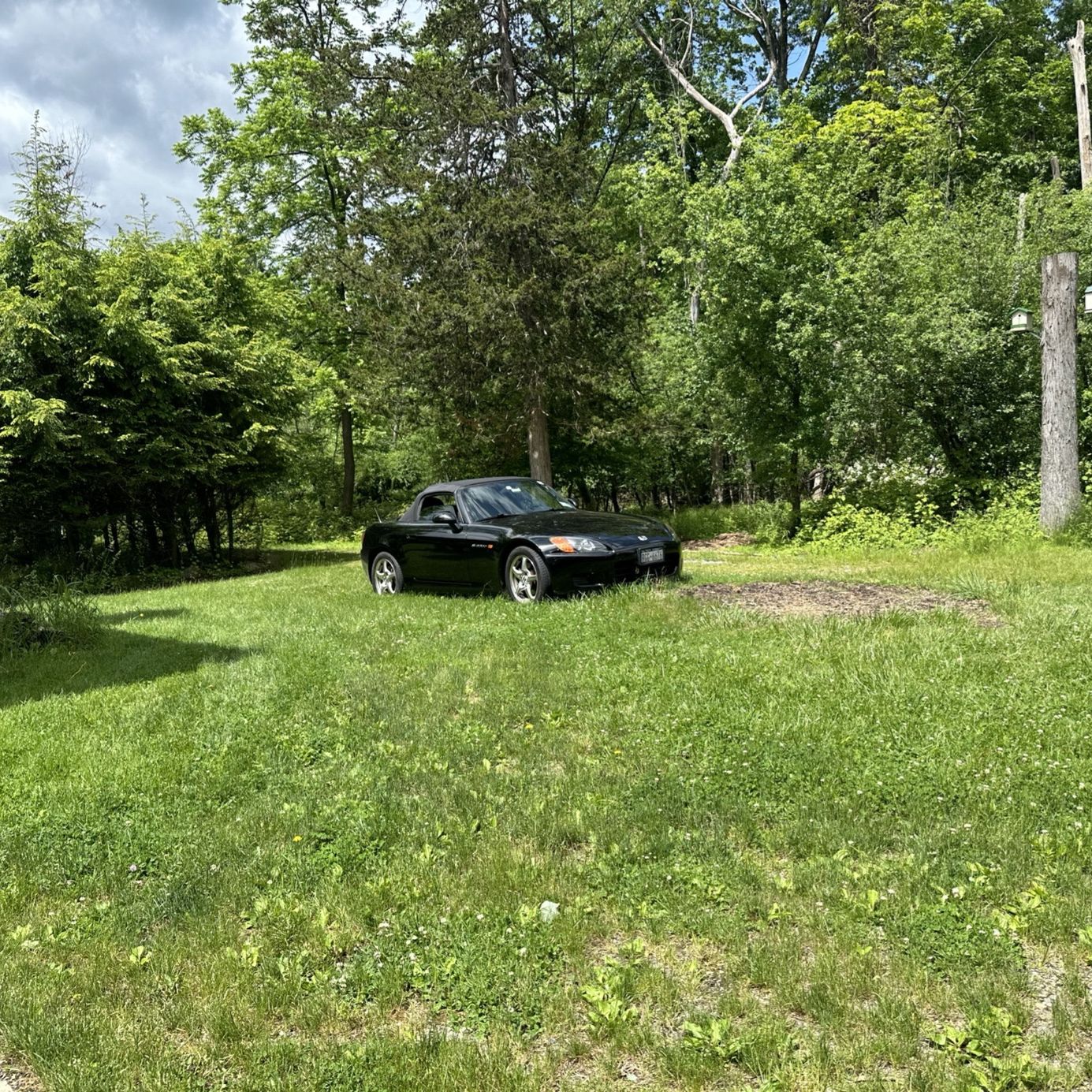 Profile of john scorzello