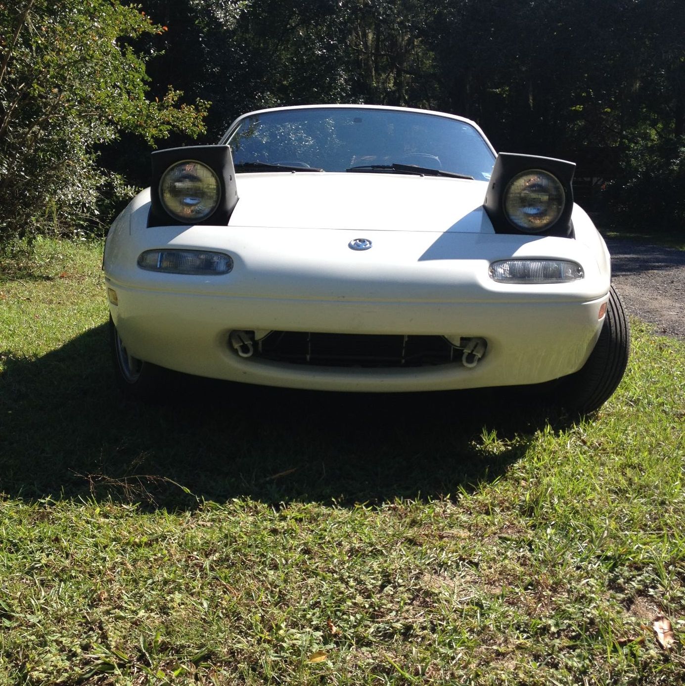 Profile of Paul Martin