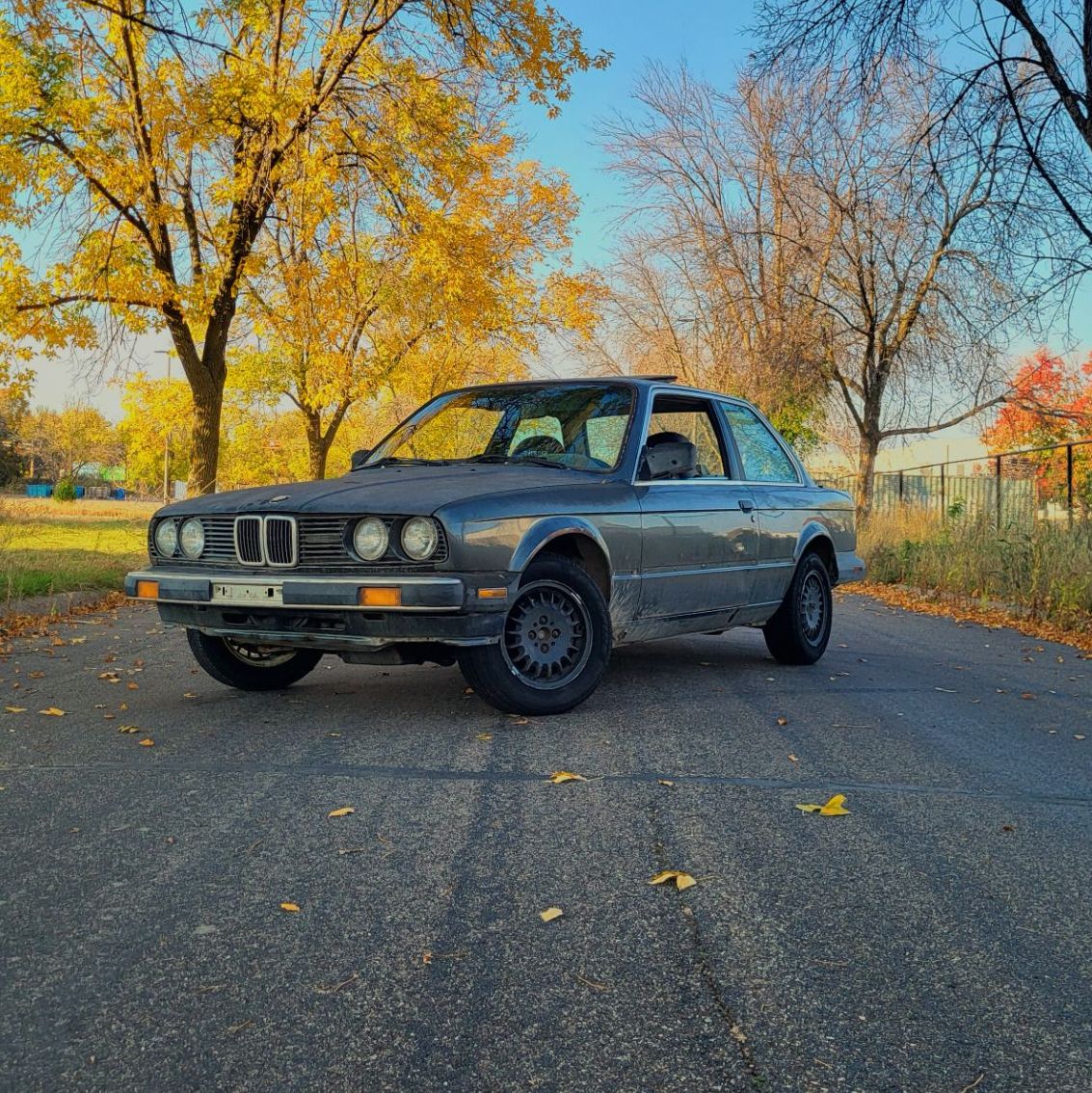 Profile of Henry Rausch