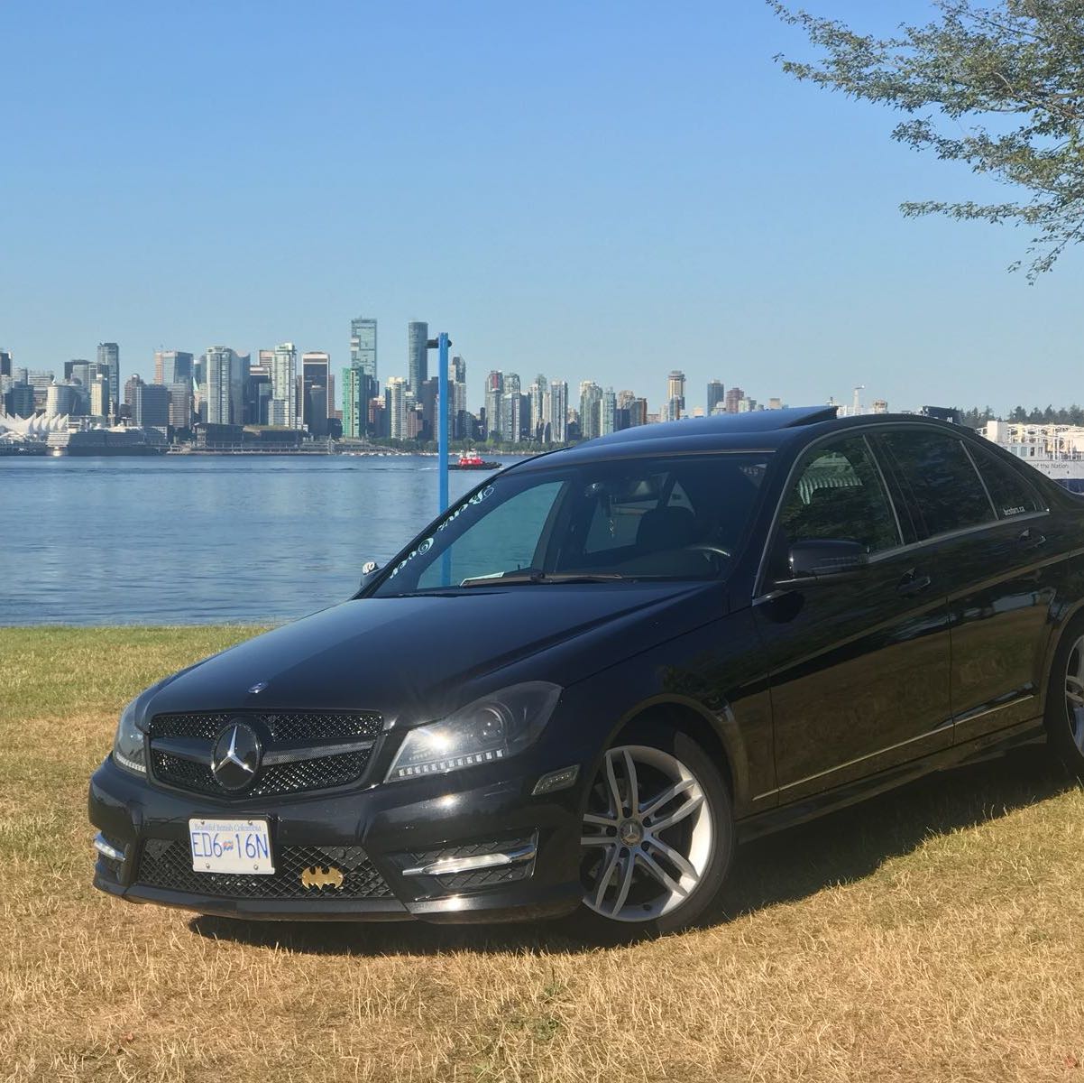 Profile of Ryan Nand