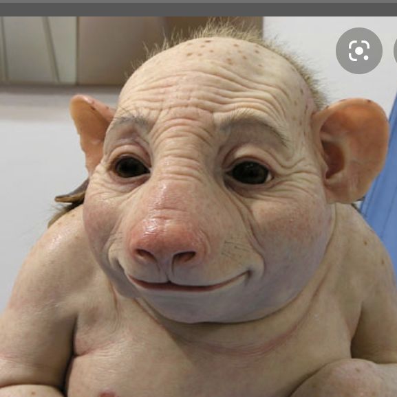 Profile of WHO? WHAT?