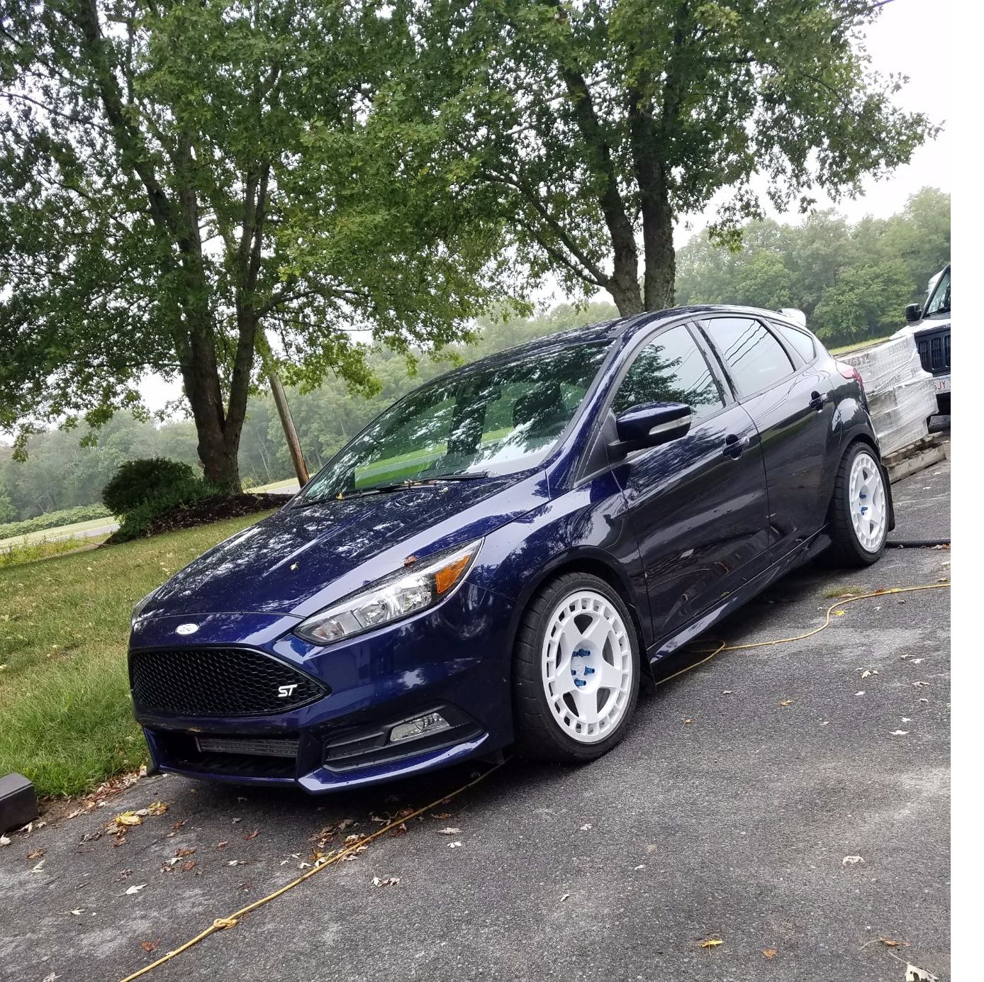 Profile of Timothy Rose